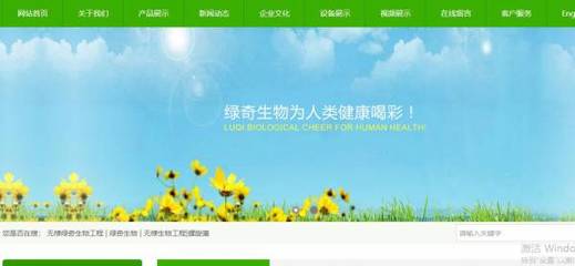 无棣绿能生物工程 巧用关键词推广，助力网站高效覆盖搜索引擎