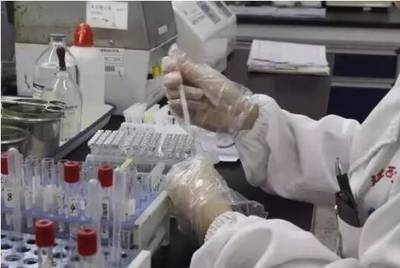 中小学编程与AI课程普及 面向未来的教育创新与挑战