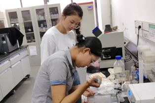 成都生物所举办水稻分子标记辅助选育与分子生物学技术培训 助力生物技术推广
