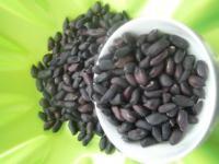 世志生物科技发展 推动生物技术推广的战略与实践